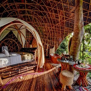 One-Bedroom King Room